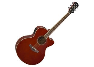Электроакустическая гитара Yamaha CPX600 RTB цена и информация | Гитары | kaup24.ee
