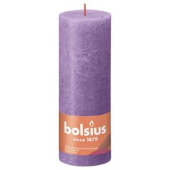Bolsius sammasküünlad Shine 6 tk 190 x 68 mm erkvioletne цена и информация | Подсвечники, свечи | kaup24.ee