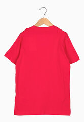 Nike T-Särgid Nsw Tee Core Brandmark 3 Red DO1824 666 DO1824 666/M hind ja info | Poiste särgid | kaup24.ee