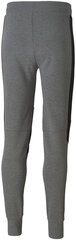 Puma Брюки Bmw Mms Sweat Pants Grey 598002 03 598002 03/M цена и информация | Мужская спортивная одежда | kaup24.ee