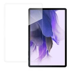 Закаленное стекло 9H для Samsung Galaxy Tab S7 FE цена и информация | Аксессуары для планшетов, электронных книг | kaup24.ee
