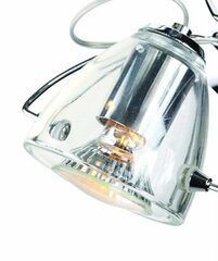 Лампа Light Prestige Dalia 1 цена и информация | Настенный светильник Конусы | kaup24.ee