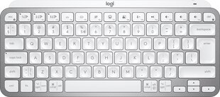 Logitech MX Keys Mini цена и информация | Клавиатура с игровой мышью 3GO COMBODRILEW2 USB ES | kaup24.ee