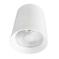Laelamp Light Prestige Zovo LED, valge hind ja info | Laelambid | kaup24.ee