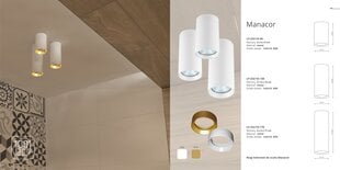 Light Prestige светильник Manacor 17 cm gold цена и информация | Потолочные светильники | kaup24.ee