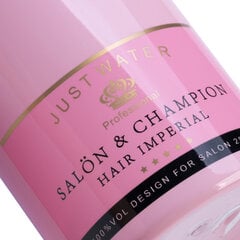 Salön Champion Rose spray pudel 280ml hind ja info | Ilusalongi mööbel | kaup24.ee