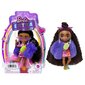 Nukk Barbie Extra mini koos lilla kasukaga, HGP63 hind ja info | Tüdrukute mänguasjad | kaup24.ee
