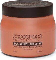 Keratiini mask juustele Cocochoco Boost Up, 500 ml hind ja info | Maskid, õlid, seerumid | kaup24.ee