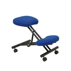 Эргономичное кресло Mahora Piqueras y Crespo BALI229, синее цена и информация | Офисные кресла | kaup24.ee
