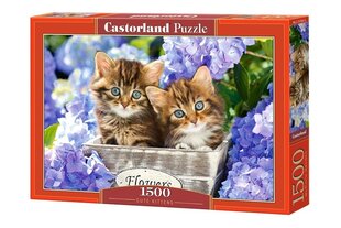 Pusle Puzzle Castorland Cute Kittens, 1500 osa hind ja info | Pusled | kaup24.ee
