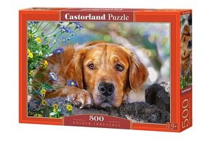 Pusle Puzzle Castorland Golden Innocence, 500 osa hind ja info | Pusled | kaup24.ee