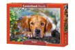 Pusle Puzzle Castorland Golden Innocence, 500 osa цена и информация | Pusled | kaup24.ee