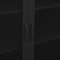 Hoiukapp vidaXL, must, 80 x 35 x 101,5 cm, teras hind ja info | Elutoa väikesed kapid | kaup24.ee