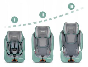 Turvatool koos ISOFIX-iga, RICOKIDS, 9-36kg, green/grey hind ja info | Turvatoolid | kaup24.ee