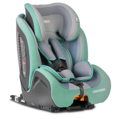 Turvatool koos ISOFIX-iga, RICOKIDS, 9-36kg, green/grey hind ja info | Turvatoolid | kaup24.ee