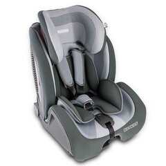 Turvatool koos ISOFIX-iga, RICOKIDS, 9-36kg, grey/black hind ja info | Turvatoolid | kaup24.ee