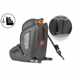 Turvatool koos ISOFIX-iga, RICOKIDS, 9-36kg, grey/black hind ja info | Turvatoolid | kaup24.ee