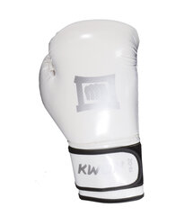 Боксерские перчатки Kwon Reflect, 10 oz, белые цена и информация | Боевые искусства | kaup24.ee
