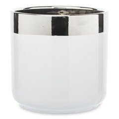 Керамический вазон, круглый, белый/серебристый, 15,5 x 15 (В) см цена и информация | Вазоны | kaup24.ee