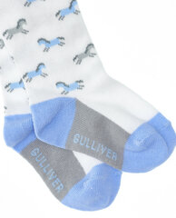 Голубые колготки с орнаментом для мальчиков «Gulliver» цена и информация | Носки, колготки для мальчиков | kaup24.ee