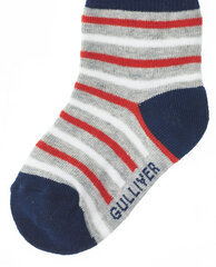 Комплект серых носков, 2 пары для мальчиков «Gulliver» цена и информация | Носки, колготки для мальчиков | kaup24.ee