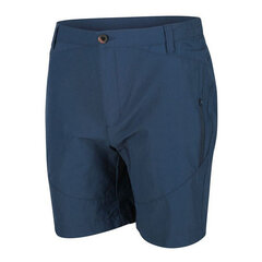 Спортивные штаны для взрослых Regatta Highton, мужские, тёмно-синие, S6414225 цена и информация | Мужская спортивная одежда | kaup24.ee