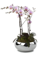 Keraamiline lillepott MOON, ümmargune, hõbedane, 24 x 10(H) cm hind ja info | Dekoratiivsed lillepotid | kaup24.ee