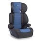 Turvatool RICOKIDS, 15-36kg, blue/black hind ja info | Turvatoolid | kaup24.ee