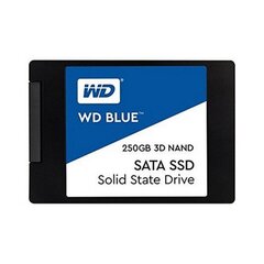 WD 250GB SATA III Blue цена и информация | Внутренние жёсткие диски (HDD, SSD, Hybrid) | kaup24.ee