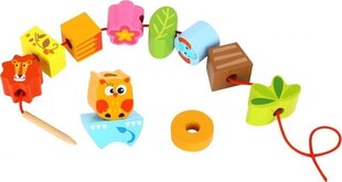 Puidust tasakaalumäng - Tooky Toy hind ja info | Imikute mänguasjad | kaup24.ee
