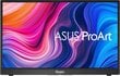 Asus PA148CTV hind ja info | Monitorid | kaup24.ee