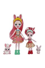 Jänkunukkude komplekt Enchantimals, HCF84 hind ja info | Tüdrukute mänguasjad | kaup24.ee