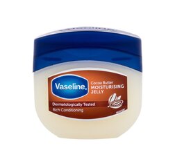 Kehavõi Vaseline Cocoa Butter Rich Conditioning Moisturising Jelly, 100 ml цена и информация | Кремы, лосьоны для тела | kaup24.ee