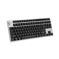 Wireless mechanical keyboard Delux KS200D (Grey) цена и информация | Клавиатуры | kaup24.ee