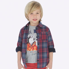 Клетчатая рубашка для мальчика цена и информация | Рубашки для мальчиков | kaup24.ee