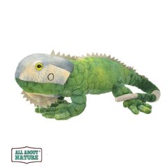 Wild Planet pehme mänguasi Iguaan 32 cm hind ja info | Pehmed mänguasjad | kaup24.ee