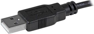 Adapter StarTech MSTDP122DP hind ja info | USB jagajad, adapterid | kaup24.ee