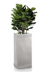 Keraamiline lillepott Ecolite, kandiline, beež, 34 x 70(H) cm hind ja info | Dekoratiivsed lillepotid | kaup24.ee