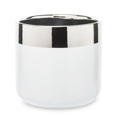 Керамический вазон, круглый, белый/серебристый, 11,5 x 11(В) см цена и информация | Вазоны | kaup24.ee