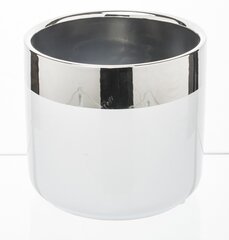 Керамический вазон, круглый, белый/серебристый, 11,5 x 11(В) см цена и информация | Вазоны | kaup24.ee