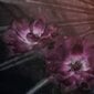 Fototapeet Flemish Flowers цена и информация | Fototapeedid | kaup24.ee