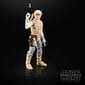 Star Wars Luke Skywalker Hoth mänguasi figuur 15cm hind ja info | Poiste mänguasjad | kaup24.ee