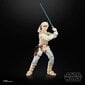 Star Wars Luke Skywalker Hoth mänguasi figuur 15cm hind ja info | Poiste mänguasjad | kaup24.ee