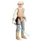 Star Wars Luke Skywalker Hoth mänguasi figuur 15cm hind ja info | Poiste mänguasjad | kaup24.ee