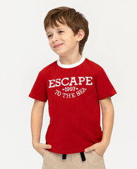 Красная футболка с принтом для мальчиков «Gulliver», 98*52*48 cm цена и информация | Рубашки для мальчиков | kaup24.ee