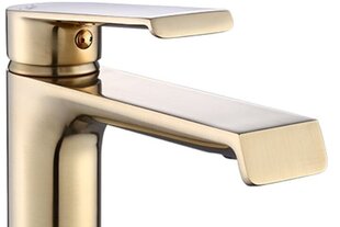 Valamusegisti REA Hass low, Brushed Gold hind ja info | Vannitoa segistid | kaup24.ee