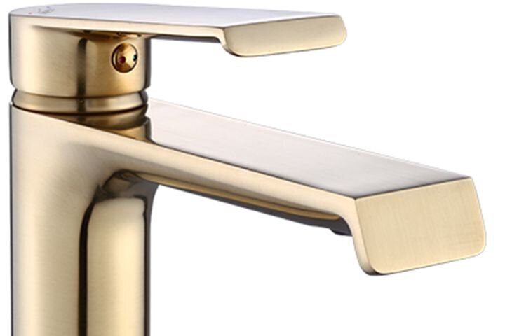 Valamusegisti REA Hass high, Brushed Gold hind ja info | Vannitoa segistid | kaup24.ee