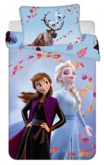 Детский комплект постельного белья Frozen  100x135 см, 2 части цена и информация | Детское постельное бельё | kaup24.ee