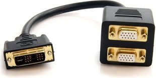 Adapter StarTech DVISPL1VV DVI-I 2xVGA цена и информация | Адаптеры и USB-hub | kaup24.ee