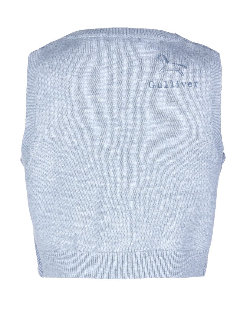Poiste riidest vest Gulliver, hall hind ja info | Poiste kampsunid, vestid ja jakid | kaup24.ee
